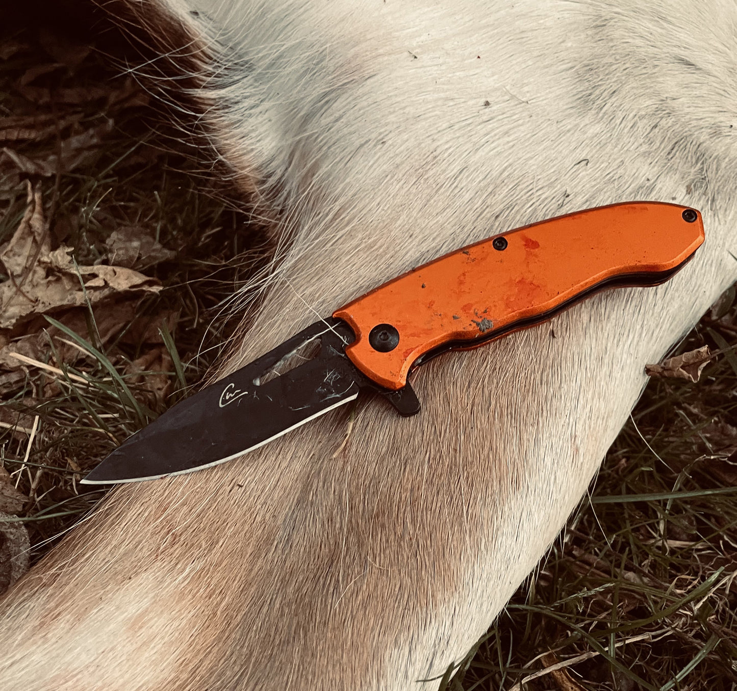 CW3 FIELD KNIFE w/SHARPENER